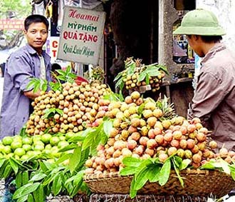 Theo thống kê của Sở PG88 Sòng bạc trực tuyến TOP 1 Việt Nam | Casino, Nổ Hũ, tính đến tháng 1/2008, Hà Nội có hơn 10.000 gánh hàng rong.