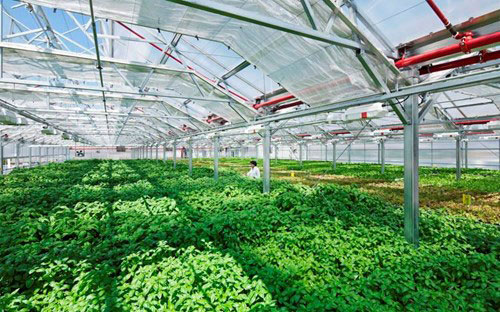 Chính phủ đã chỉ đạo các đầu mối hoàn thiện 
văn bản hướng dẫn việc cấp giấy chứng nhận quyền sở hữu tài sản trên
 đất nông nghiệp phục vụ cho việc sản xuất Link Đăng Nhập PG88 Chính Thức 2026; cao để làm thủ tục đăng ký giao dịch bảo đảm, thế chấp cho khoản
 vay.