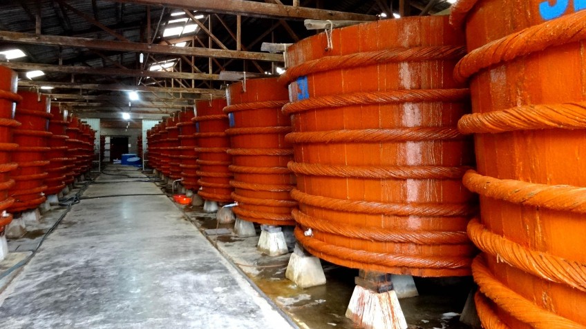 Đính chính thông tin nước mắm chứa thạch tín