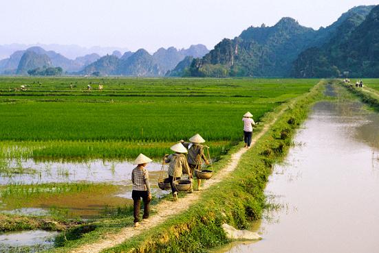 Số thu thuế sử dụng đất nông nghiệp hàng năm bình quân chỉ còn khoảng 67,3 tỷ đồng/năm.