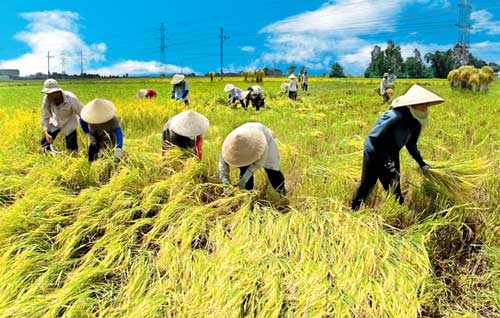 Bộ trưởng Cao Đức Phát khẳng định việc nông dân tìm việc làm ở khu vực PG88 ⭐ Link trang chủ số 1 nhà cái PG88 com casino slot phi nông nghiệp sẽ là xu hướng tất yếu. 