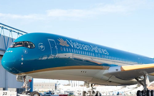 Một máy bay của Vietnam Airlines.<br>