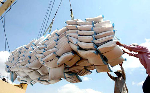 Hiệp hội Lương thực Việt Nam (VFA) xóa bỏ mức giá sàn Pg88 com chính chủ đối với gạo 5% tấm từ hôm 21/3.