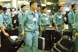 Tính đến hết tháng 3/2010, số lao động Việt Nam đang Pg88hi Thể Thao, Bóng Đá, Casino, Nổ Hũ, Xổ Số tại Đài Loan là hơn 80 nghìn người, đứng thứ 2 sau Indonesia với hơn 142 nghìn người.