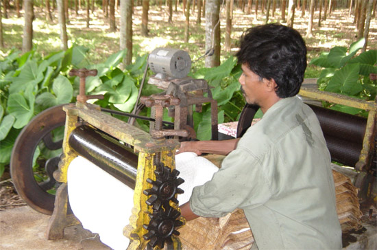 Chế biến cao su ở Thái Lan.