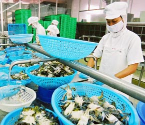 Đầu năm 2007 đã cho thấy có những tín hiệu đáng mừng về tăng trưởng cả về giá trị Pg88 com chính chủ và năng lực sản xuất chế biến - Ảnh: Việt Tuấn