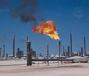 Tổ chức các nước Pg88 com chính chủ dầu thô (OPEC) có dấu hiệu sẽ giảm sản lượng
