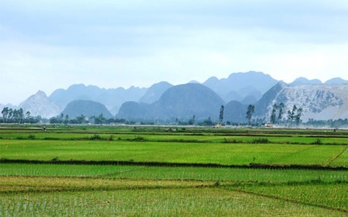 Theo đánh giá của Chính phủ, khả năng khai thác, mở rộng diện tích đất 
lúa để bù đắp vào diện tích đất lúa đã mất đi là rất hạn chế và rất khó 
khăn.<br>