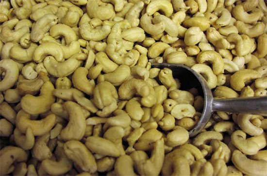 Giá nguyên liệu thu mua điều hiện nay là 26.000-28.000 đồng/kg.