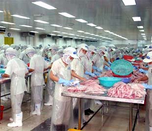 Các 6Pg88.con độc quyền mỗi ngày đang tiết kiệm chi phí để vượt qua khó khăn - Ảnh: Hồng Văn.