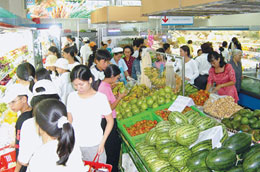 Năm 2010, lương tối thiểu tăng sẽ làm tăng sức mua của một bộ phận dân cư.