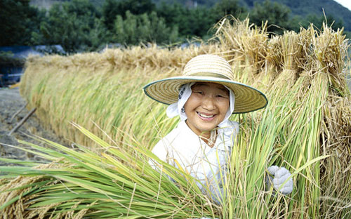 TPP “chết”, Nhật không muốn thỏa thuận song phương với Mỹ