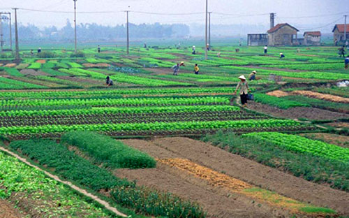 Sửa Luật Đất đai: Bớt ưu tiên Nhà nước