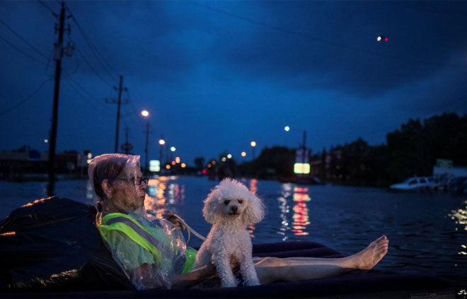 Texas chìm trong biển nước sau cơn bão lịch sử Harvey