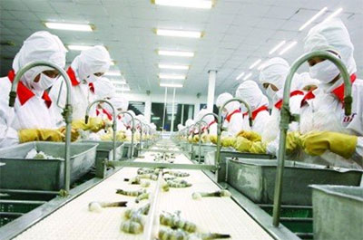 Chế biến tôm Pg88 com chính chủ tại một 6Pg88.con độc quyền mỗi ngày. Nhu cầu tiêu thụ thủy sản của một số nước châu Phi là rất lớn, nhưng 6Pg88.con độc quyền mỗi ngày Việt Nam không đáp ứng được - Ảnh: Lê Toàn.