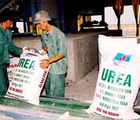 Phân urê đang bị "ghẻ lạnh" vì mức giá ngày càng đắt đỏ.