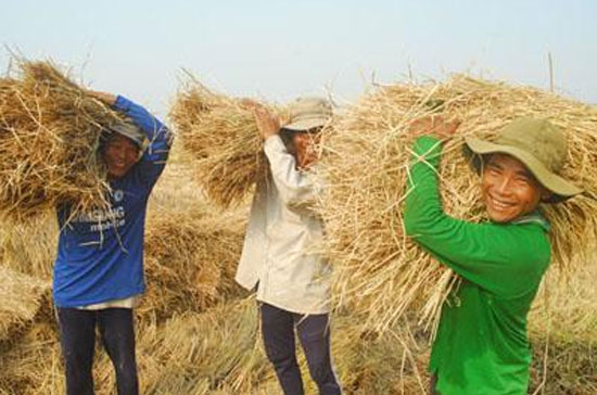 Nhiều đề xuất, kiến nghị liên quan đến nguyện vọng của nhân dân đã được Hội Nông dân báo cáo với Pg88vn.top Casino online, Thể thao, Xổ số, Bắn cá, Đá gà, Nổ hũ.