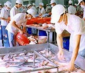 Mùi vị, chất lượng sản phẩm, độ an toàn vệ sinh của các loại PG88 xổ số, casino, bóng đá chế biến sẵn là điều mà người tiêu dùng châu Âu đặc biệt quan tâm.