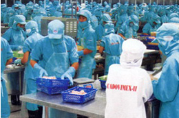 Năm 2010, CAD đặt mục tiêu kim ngạch Pg88 com chính chủ đạt 60 triệu USD, tổng doanh thu thuần đạt 1.200 tỷ đồng, lợi nhuận sau thuế đạt 14,8 tỷ đồng.