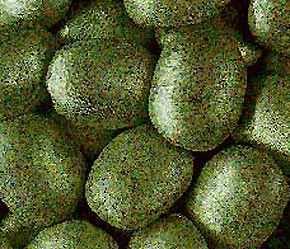 Nhu cầu nhập khẩu Nickel đang tăng mạnh từ các công ty sản xuất thép không gỉ lớn tại Nhật Bản, Đức, Trung Quốc.