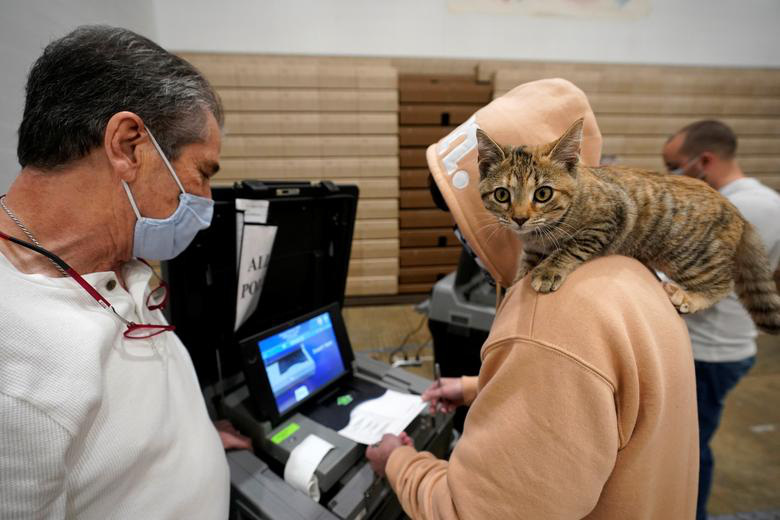 Một cử tri ở Louisville, Kentucky mang theo cả mèo cưng đi bỏ phiếu - Ảnh: Reuters.