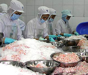 Ngành thủy sản đang có kết quả PG88 Uy Tín Số 1 Việt Nam rất ấn tượng.