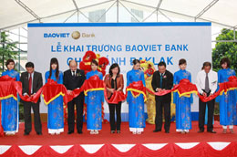 Đến hết tháng 5/2011, Baoviet Bank đã thành lập được 29 chi nhánh và phòng giao dịch.