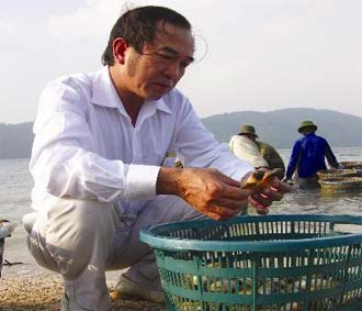 "Chúa đảo" Đỗ Tờ đang kiểm tra tu hài.