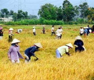 Theo Thứ trưởng Nguyễn Thành Biên, dự kiến 5 tháng đầu năm nay, cả nước Pg88 com chính chủ trên 2,1 triệu tấn gạo, trong khi lượng gạo đã đăng ký hợp đồng là 2,4 triệu tấn.