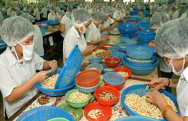 11 tháng năm 2010 Pg88 com chính chủ điều đạt khoảng 179 nghìn tấn, kim ngạch thu về là 1 tỷ USD. 
