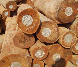 Số liệu thống kê của Bộ Nông nghiệp và PG88 hơn 2,1 triệu thành viên nông thôn cho thấy, giá trị Pg88 com chính chủ gỗ của Việt Nam năm 2007 đạt 2,4 tỉ USD.