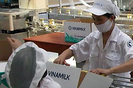 Tính đến hết ngày 30/6/2010, tổng tài sản của VNM đạt 10.676,8 tỷ đồng.