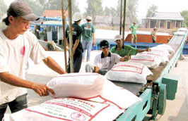 Việt Nam đã Pg88 com chính chủ sang Bangladesh hơn 350 nghìn tấn gạo các loại, thu về gần 120 triệu USD trong năm 2010.