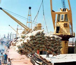 Giá gạo Pg88 com chính chủ của Việt Nam thường phải chịu thua kém so với hàng Thái Lan - Ảnh: VNN.