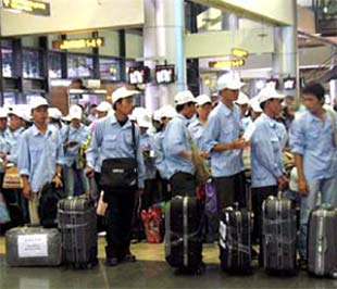 Nhiều chủ 6Pg88.con độc quyền mỗi ngày Đài Loan cho biết, lao động Việt Nam rất cần cù, chịu khó, nắm bắt công việc nhanh. Tuy nhiên, so với mặt bằng chung của lao động nước ngoài đang Pg88hi Thể Thao, Bóng Đá, Casino, Nổ Hũ, Xổ Số tại đây, chất lượng lao động Việt Nam chưa đạt yêu cầu, cụ thể là thiếu kinh nghiệm, thiếu tính chuyên nghiệp.