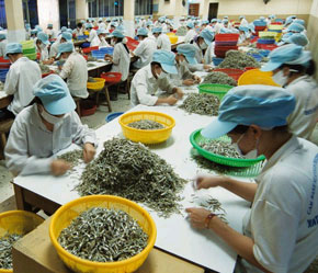 Thủy sản là một trong các mặt hàng Pg88 com chính chủ chủ lực của Việt Nam.