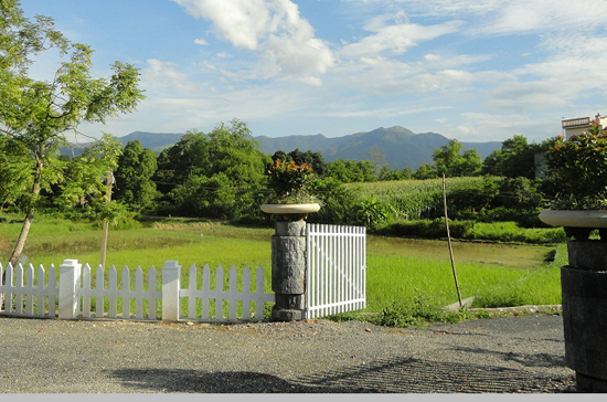 Một góc Link Trang Chủ PG88.Com Mới #2026 Green Oasis Villas Xuân Mai.