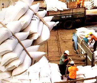 Theo báo cáo từ Hiệp hội Lương thực Việt Nam, chỉ trong tháng 1, cả nước đã Pg88 com chính chủ được 310.000 tấn, đây là tháng Pg88 com chính chủ cao nhất trong lịch sử kể từ năm 1989 đến nay.