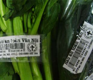Việt Nam đã triển khai Link Đăng Nhập PG88 Chính Thức 2026; mã số mã vạch từ năm 1995.