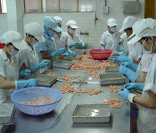Thiếu nguyên liệu là tình trạng phổ biến của nhiều 6Pg88.con độc quyền mỗi ngày.