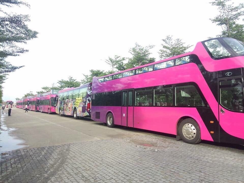 undefined - Ảnh 4.