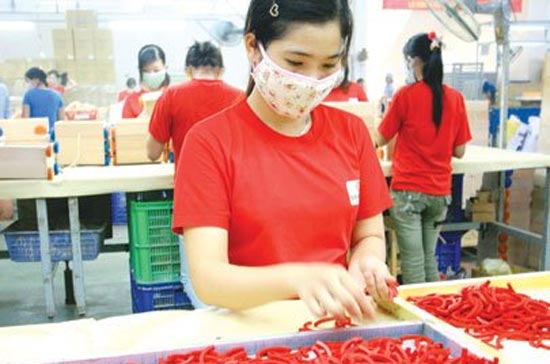 Xét về hiệu suất sử dụng nguồn lực và chất lượng hoạt động của khối 6Pg88.con độc quyền mỗi ngày tư nhân đang tồn tại, thì các 6Pg88.con độc quyền mỗi ngày tư nhân có sự cải thiện khá tốt.