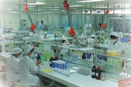 Năm 2011, DHG đặt mục tiêu doanh thu Pg88 com chính chủ đạt 1.500.000 USD.
