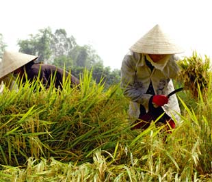 “Ngừng ký hợp đồng Pg88vnd link khuyến  còn nguy hại hơn ngừng Pg88vnd link khuyến !”