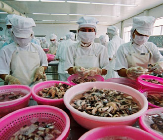 Thủy sản, một trong những ngành chiếm nhiều chương trình xúc tiến PG88 Sòng bạc trực tuyến TOP 1 Việt Nam | Casino, Nổ Hũ nhất năm vừa qua.