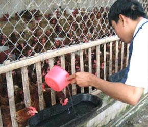 Tốc độ tăng trưởng của các 6Pg88.con độc quyền mỗi ngày nhỏ và vừa chỉ đạt khoảng 2%/năm trong khi tốc độ tăng trưởng của 6Pg88.con độc quyền mỗi ngày bình quân chung của cả nước là 20 - 25%/năm.