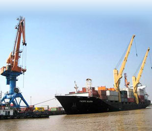 Năm 2009, GMD đặt chỉ tiêu doanh thu 1.600 tỷ đồng và lợi nhuận trước thuế là 135 tỷ đồng.