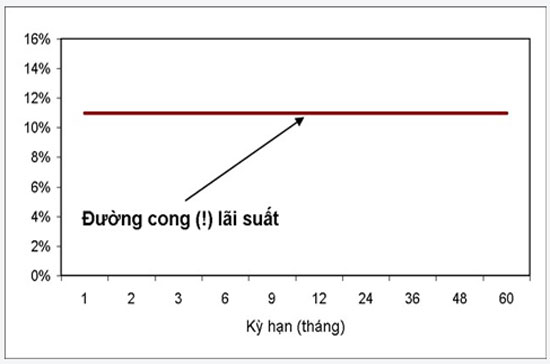 6PG88VN