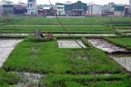 Ngoài việc cho ghi nợ tiền sử dụng đất, nghị định cũng quy định bổ sung một số trường hợp được miễn tiền sử dụng đất. 