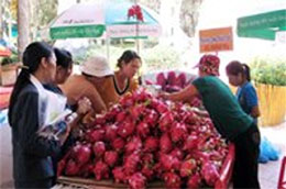 Du khách đang chọn mua thanh long tại Lễ hội Trái cây Nam Bộ 2010, đây là sản phẩm trái cây Việt Nam Pg88 com chính chủ mạnh sang Trung Quốc trong những năm qua - Ảnh: Tường Vi.